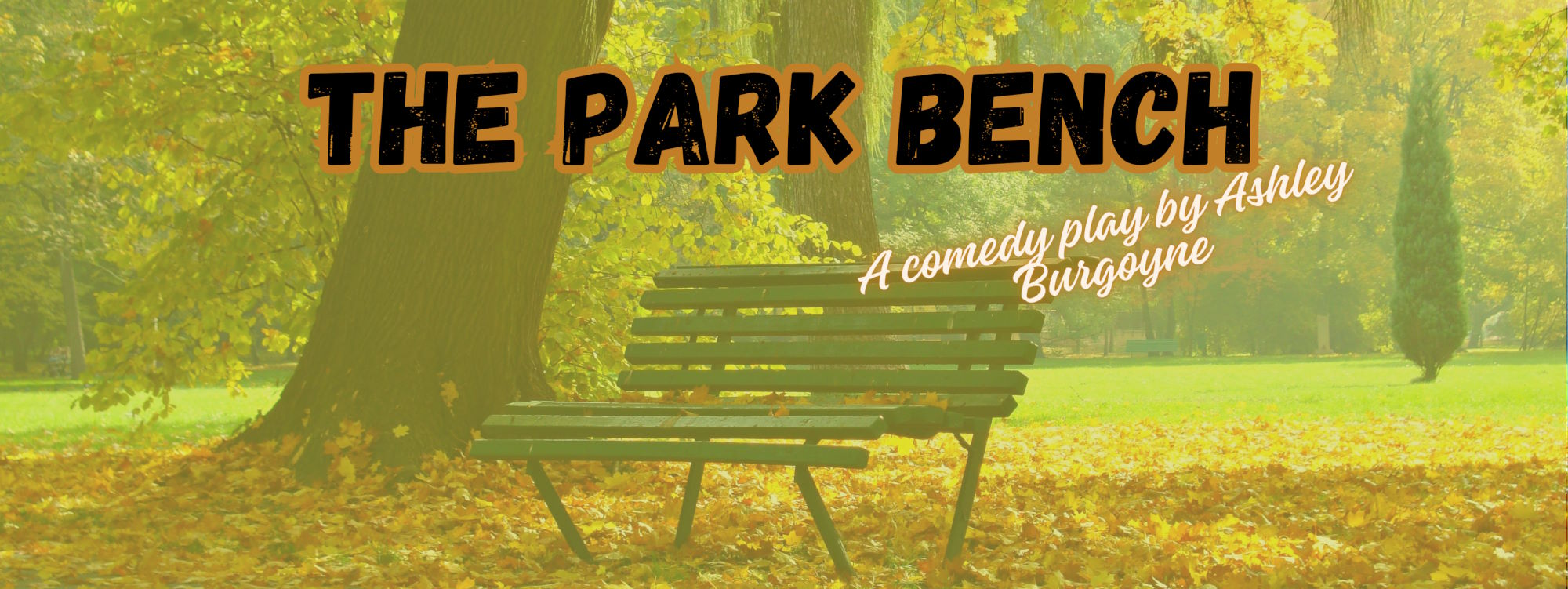 The Park Bench